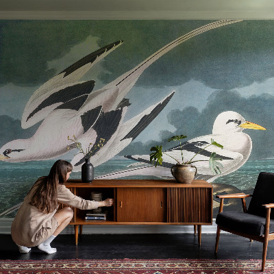 3D fototapet Fåglar vid havet