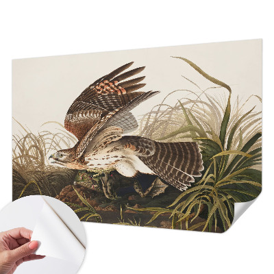 Fototapet barn Bevingad skönhet