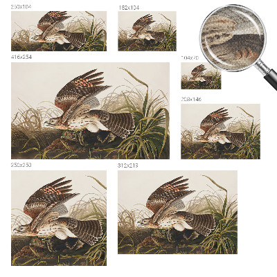 Fototapet barn Bevingad skönhet