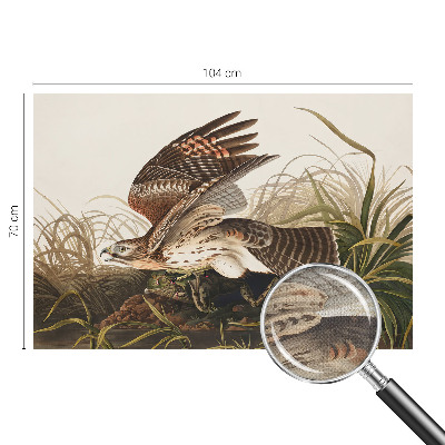 Fototapet barn Bevingad skönhet