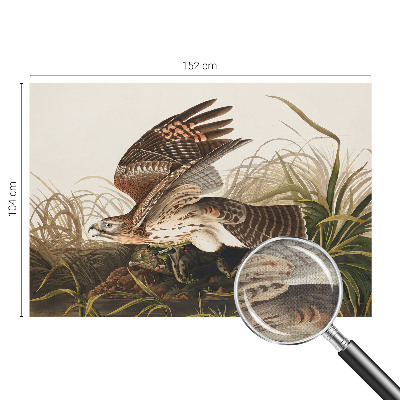 Fototapet barn Bevingad skönhet