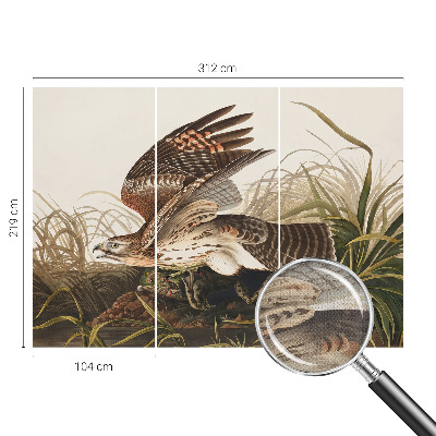 Fototapet barn Bevingad skönhet