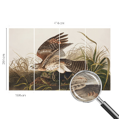 Fototapet barn Bevingad skönhet