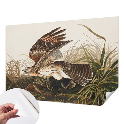 Fototapet barn Bevingad skönhet