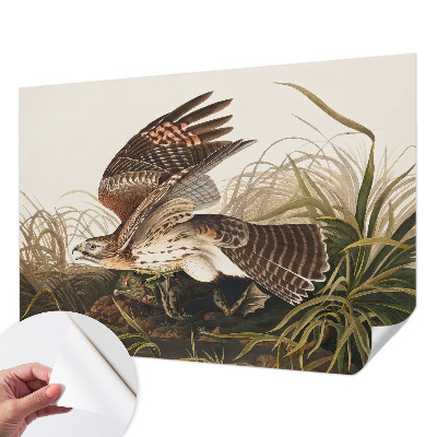 Fototapet barn Bevingad skönhet