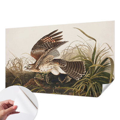 Fototapet barn Bevingad skönhet