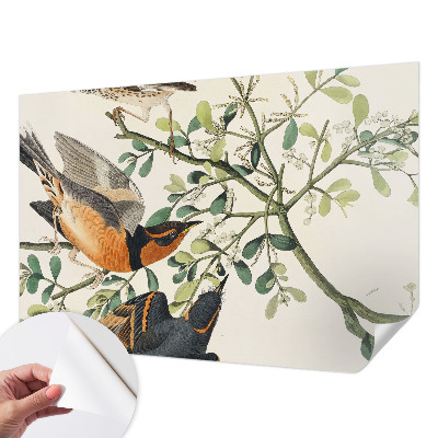 Självhäftande fototapet Färgglada fåglar