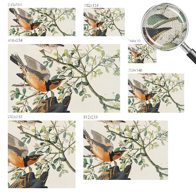 Självhäftande fototapet Färgglada fåglar