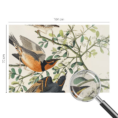 Självhäftande fototapet Färgglada fåglar