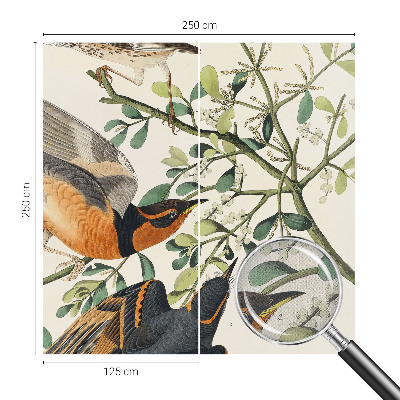 Självhäftande fototapet Färgglada fåglar