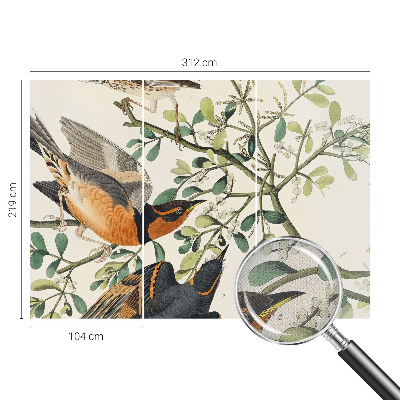 Självhäftande fototapet Färgglada fåglar