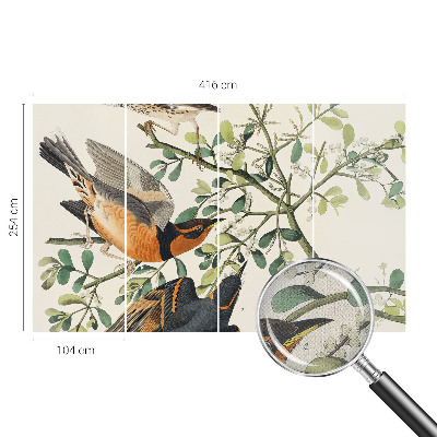 Självhäftande fototapet Färgglada fåglar