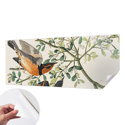 Självhäftande fototapet Färgglada fåglar