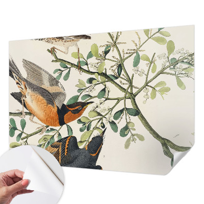 Självhäftande fototapet Färgglada fåglar