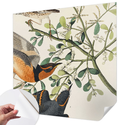 Självhäftande fototapet Färgglada fåglar