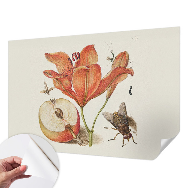 Självhäftande fototapet med botanisk illustration