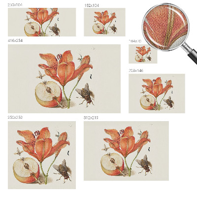 Självhäftande fototapet med botanisk illustration