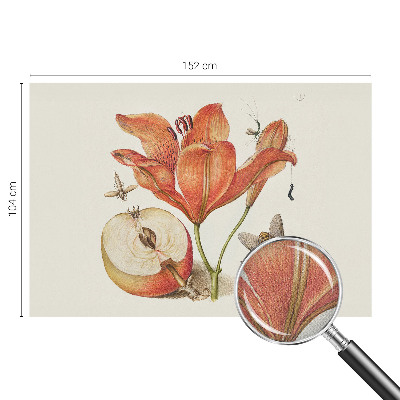 Självhäftande fototapet med botanisk illustration