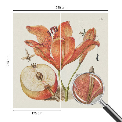 Självhäftande fototapet med botanisk illustration