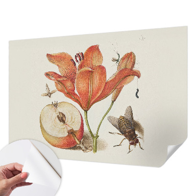 Självhäftande fototapet med botanisk illustration