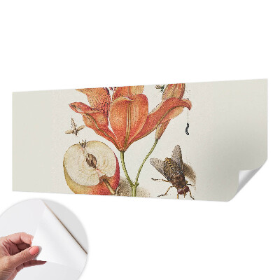 Självhäftande fototapet med botanisk illustration