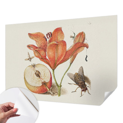 Självhäftande fototapet med botanisk illustration
