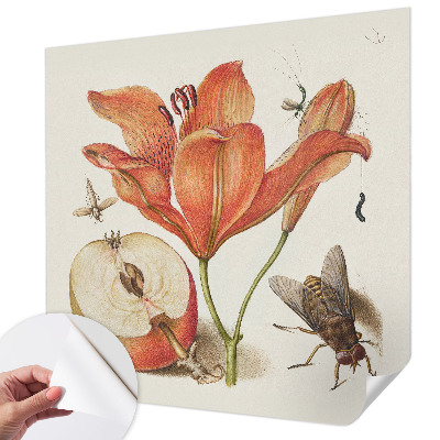 Självhäftande fototapet med botanisk illustration