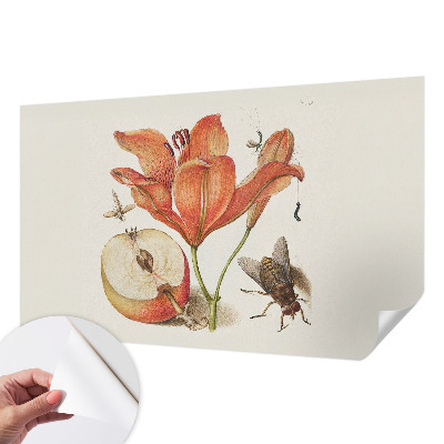 Självhäftande fototapet med botanisk illustration