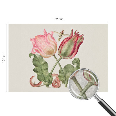 Fototapet barnrum Tulpanskönhet