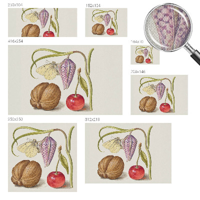 Självhäftande fotovägg Fjärilsväxt