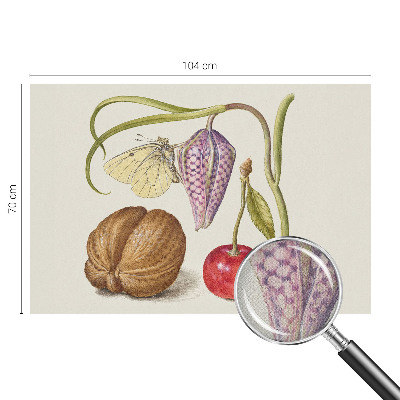 Självhäftande fotovägg Fjärilsväxt