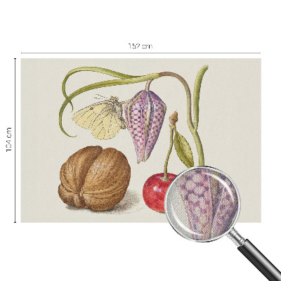 Självhäftande fotovägg Fjärilsväxt