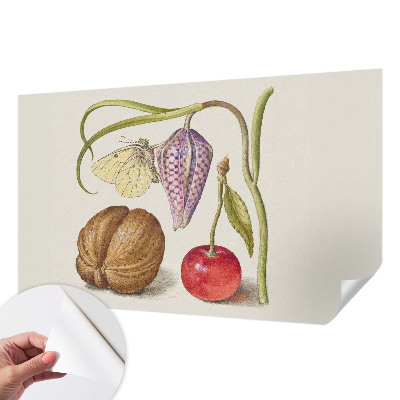 Självhäftande fotovägg Fjärilsväxt