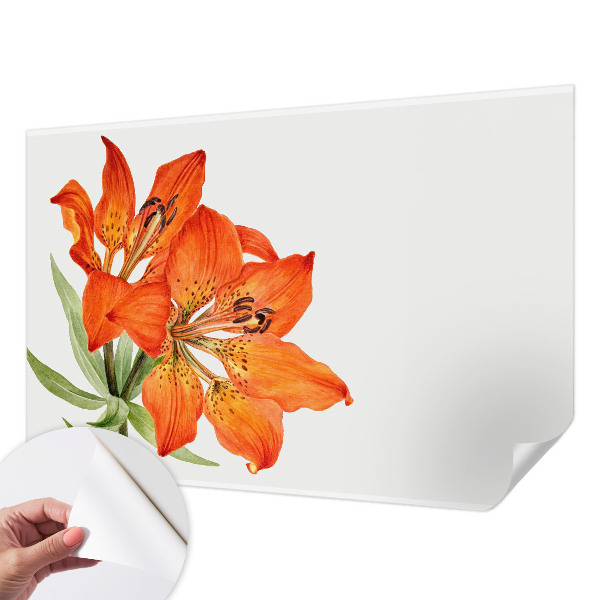 Peel and stick fototapet med motiv av en orange lilja