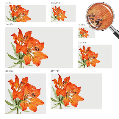 Peel and stick fototapet med motiv av en orange lilja