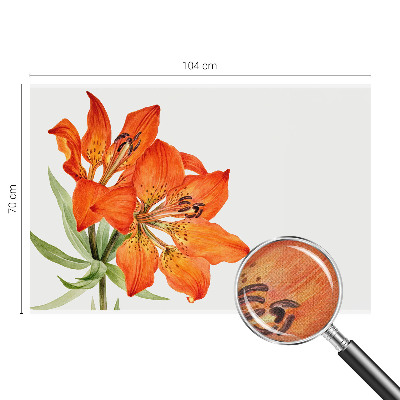 Peel and stick fototapet med motiv av en orange lilja