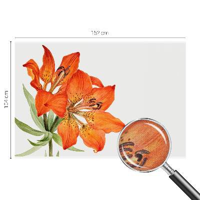 Peel and stick fototapet med motiv av en orange lilja