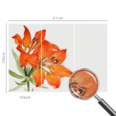 Peel and stick fototapet med motiv av en orange lilja
