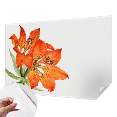 Peel and stick fototapet med motiv av en orange lilja