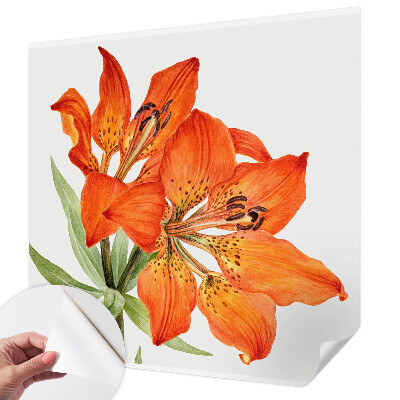 Peel and stick fototapet med motiv av en orange lilja