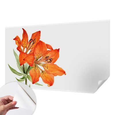 Peel and stick fototapet med motiv av en orange lilja