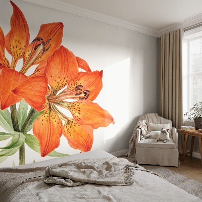 Peel and stick fototapet med motiv av en orange lilja