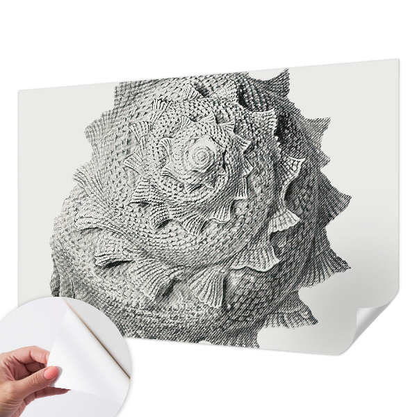 3D fototapet med motivet