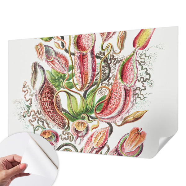 Fototapet barn Växtdetaljer