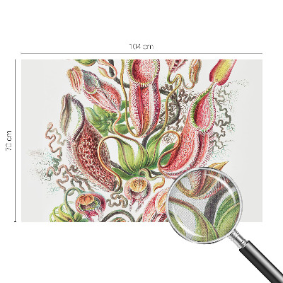 Fototapet barn Växtdetaljer