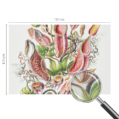 Fototapet barn Växtdetaljer