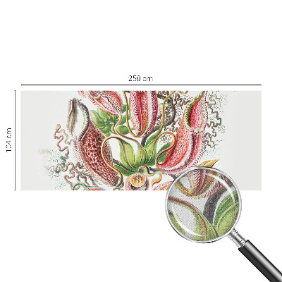 Fototapet barn Växtdetaljer