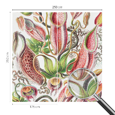 Fototapet barn Växtdetaljer