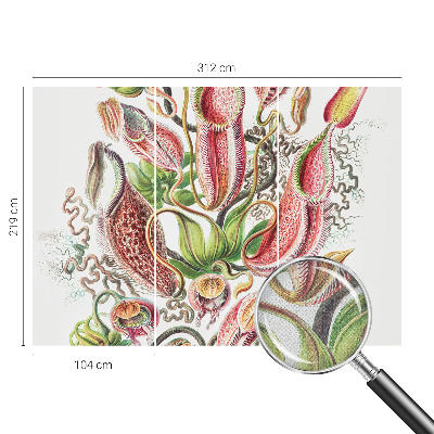 Fototapet barn Växtdetaljer