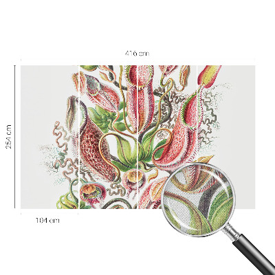 Fototapet barn Växtdetaljer